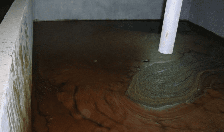 (圖:造紙黑液起泡)